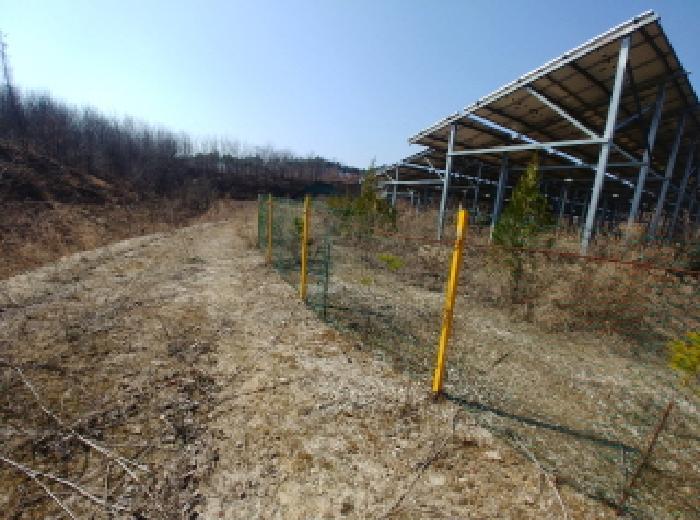 충청남도 금산군 금성면 도곡리 307-4 외 17필지 임야 경매 사진 72