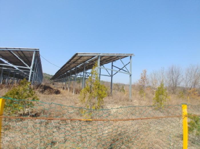 충청남도 금산군 금성면 도곡리 307-4 외 17필지 임야 경매 사진 73