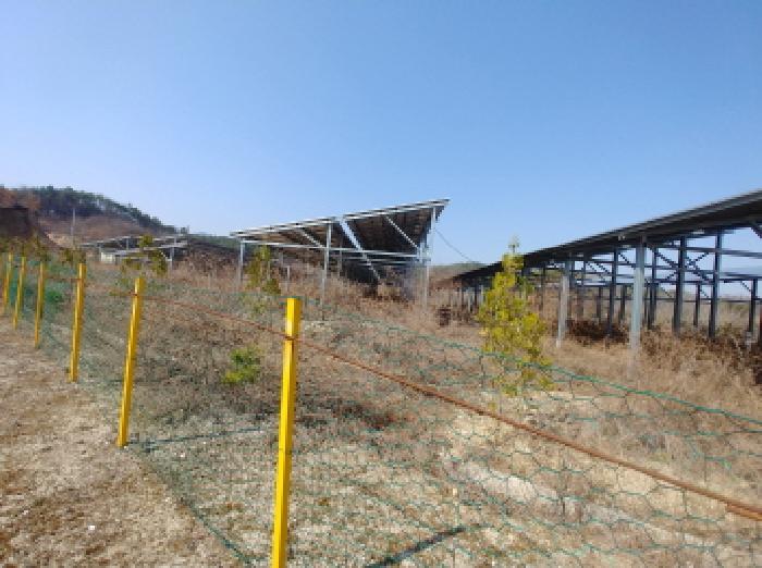 충청남도 금산군 금성면 도곡리 307-4 외 17필지 임야 경매 사진 75