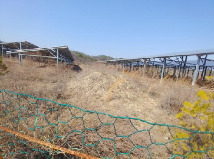 충청남도 금산군 금성면 도곡리 307-4 외 17필지 임야 경매 사진 76
