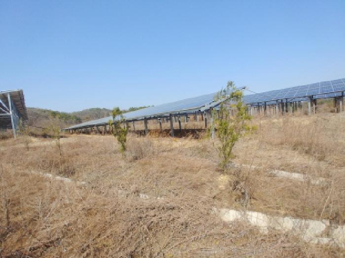 충청남도 금산군 금성면 도곡리 307-4 외 17필지 임야 경매 사진 77