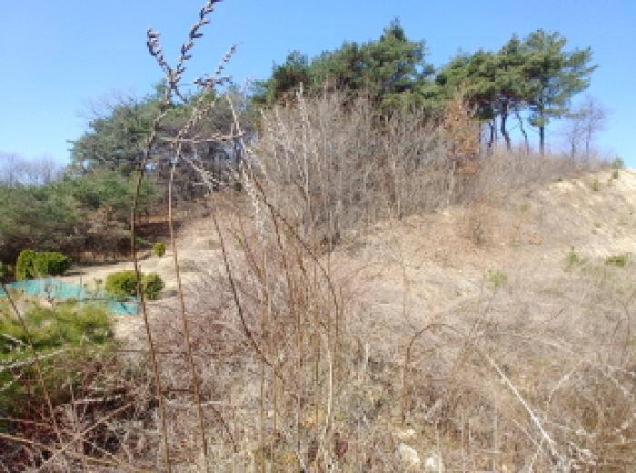 충청남도 금산군 금성면 도곡리 307-4 외 17필지 임야 경매 사진 89