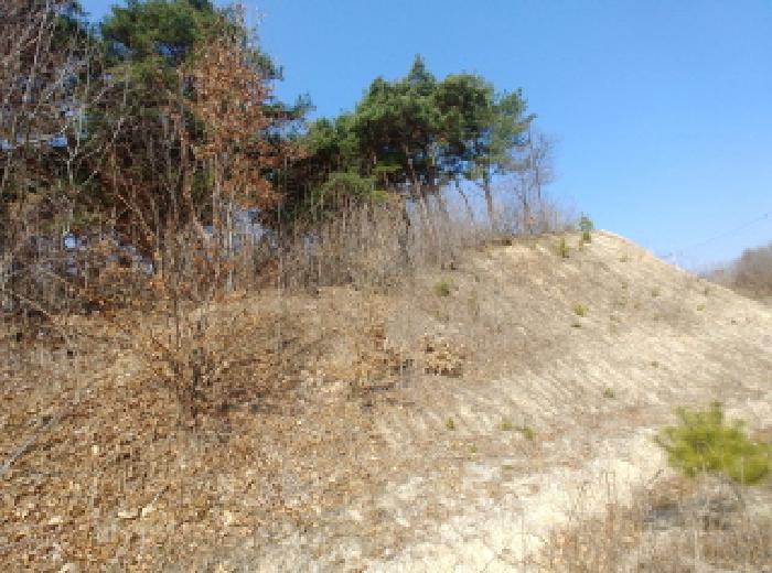 충청남도 금산군 금성면 도곡리 307-4 외 17필지 임야 경매 사진 90