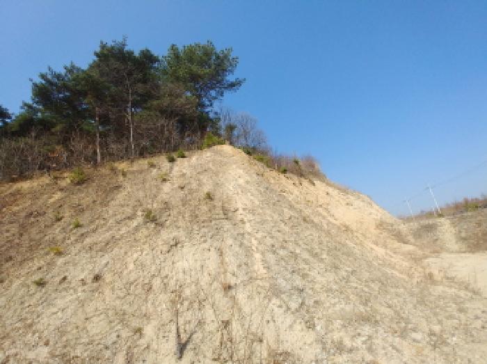 충청남도 금산군 금성면 도곡리 307-4 외 17필지 임야 경매 사진 91