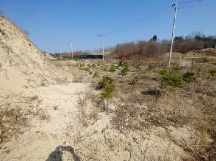 충청남도 금산군 금성면 도곡리 307-4 외 17필지 임야 경매 사진 92