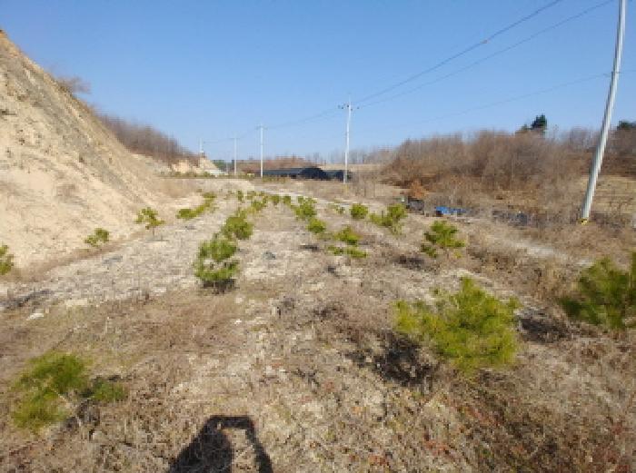 충청남도 금산군 금성면 도곡리 307-4 외 17필지 임야 경매 사진 94
