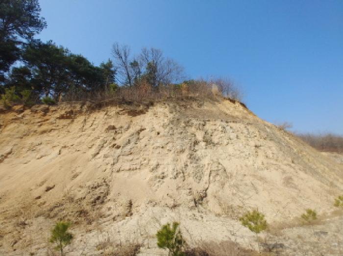 충청남도 금산군 금성면 도곡리 307-4 외 17필지 임야 경매 사진 95