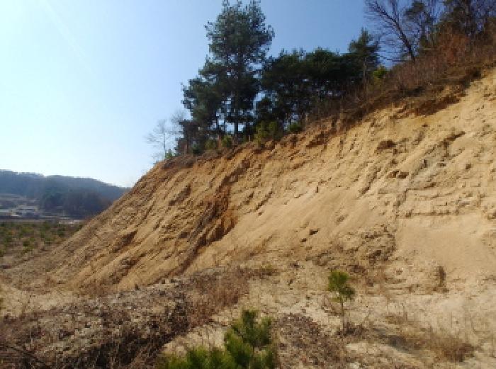 충청남도 금산군 금성면 도곡리 307-4 외 17필지 임야 경매 사진 96