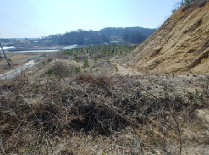 충청남도 금산군 금성면 도곡리 307-4 외 17필지 임야 경매 사진 97