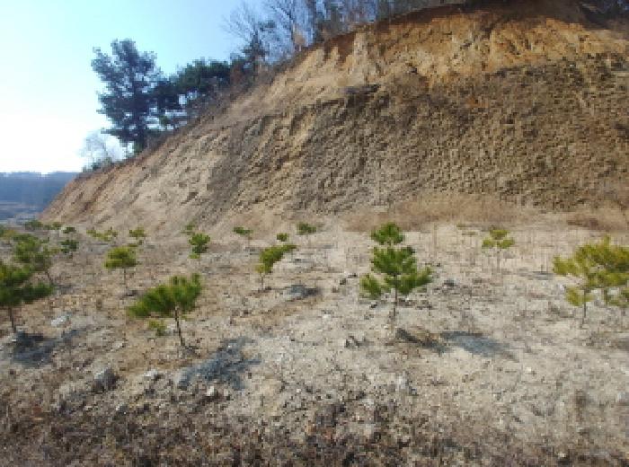 충청남도 금산군 금성면 도곡리 307-4 외 17필지 임야 경매 사진 100