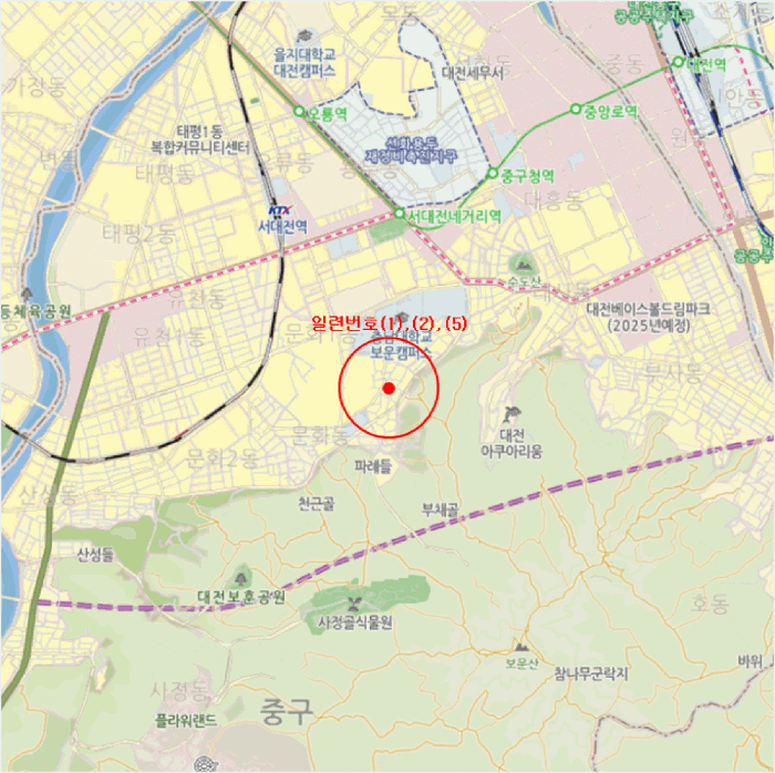 대전광역시 중구 문화동 244-9 외 2필지 다가구주택 경매 사진 28
