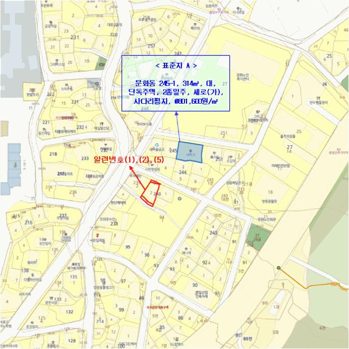 대전광역시 중구 문화동 244-9 외 2필지 다가구주택 경매 사진 29