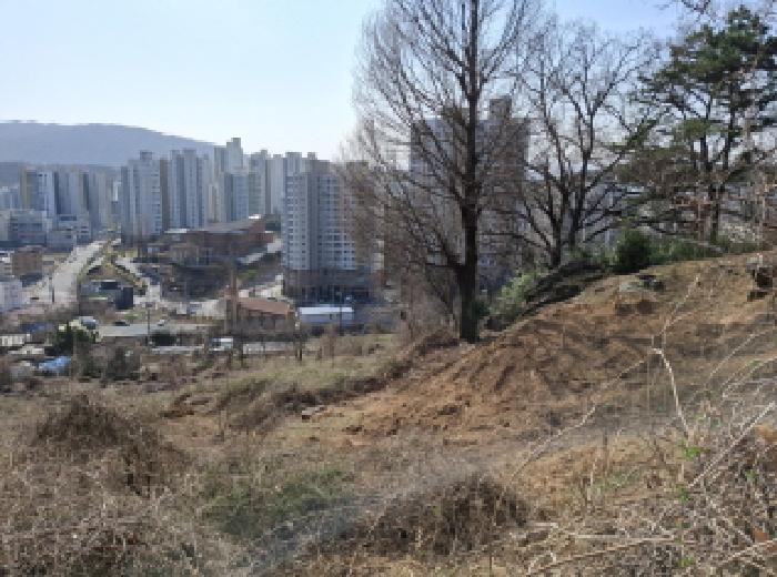 대전광역시 동구 판암동 230-10 외 19필지 상가주택 경매 사진 110