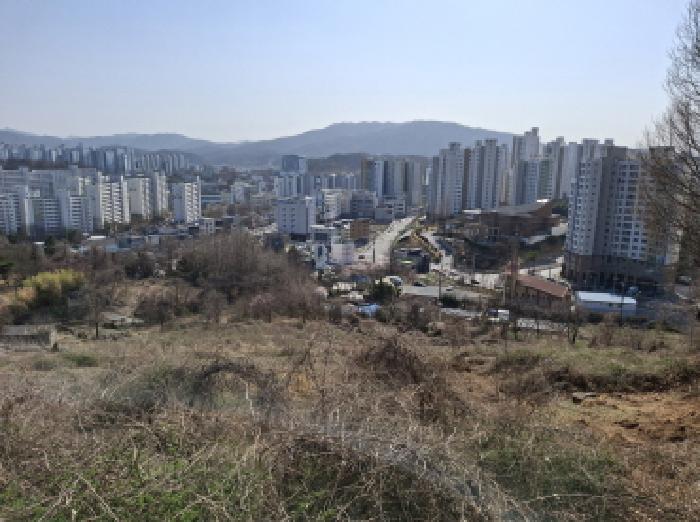 대전광역시 동구 판암동 230-10 외 19필지 상가주택 경매 사진 111