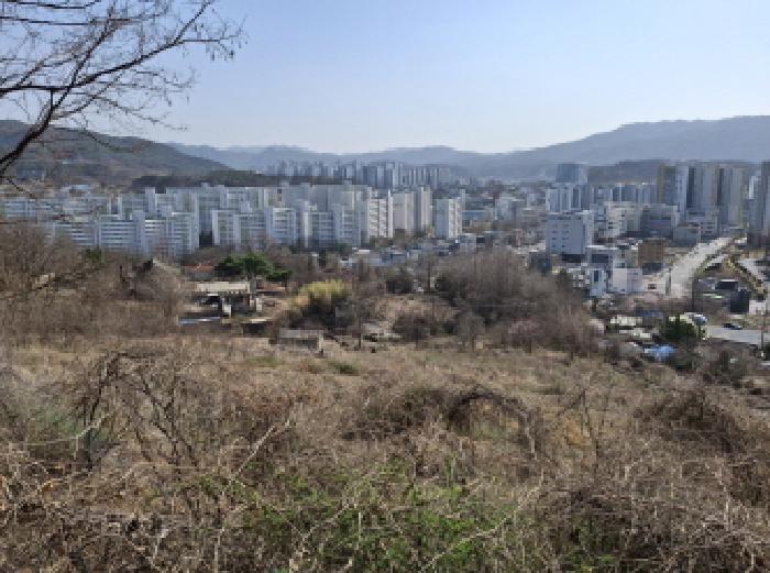 대전광역시 동구 판암동 230-10 외 19필지 상가주택 경매 사진 112