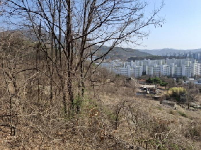 대전광역시 동구 판암동 230-10 외 19필지 상가주택 경매 사진 113