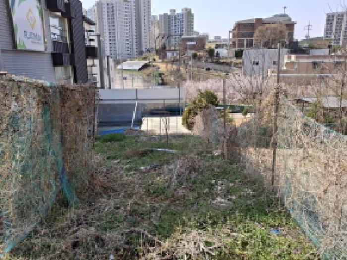 대전광역시 동구 판암동 230-10 외 19필지 상가주택 경매 사진 116