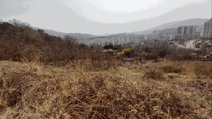 대전광역시 동구 판암동 230-10 외 19필지 상가주택 경매 사진 130