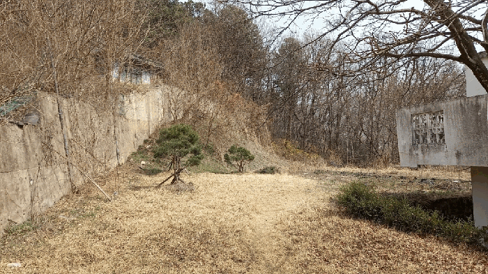 대전광역시 동구 판암동 230-10 외 19필지 상가주택 경매 사진 134