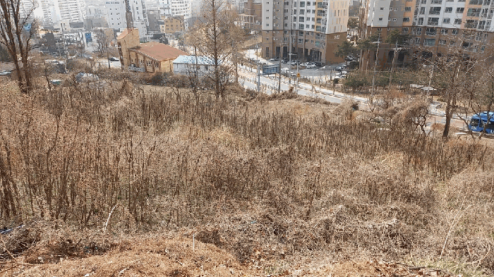 대전광역시 동구 판암동 230-10 외 19필지 상가주택 경매 사진 137