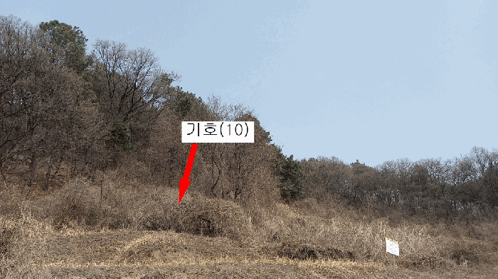 대전광역시 동구 판암동 230-10 외 19필지 상가주택 경매 사진 138