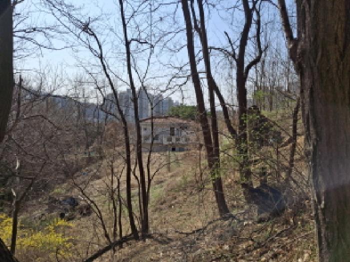 대전광역시 동구 판암동 230-10 외 19필지 상가주택 경매 사진 15