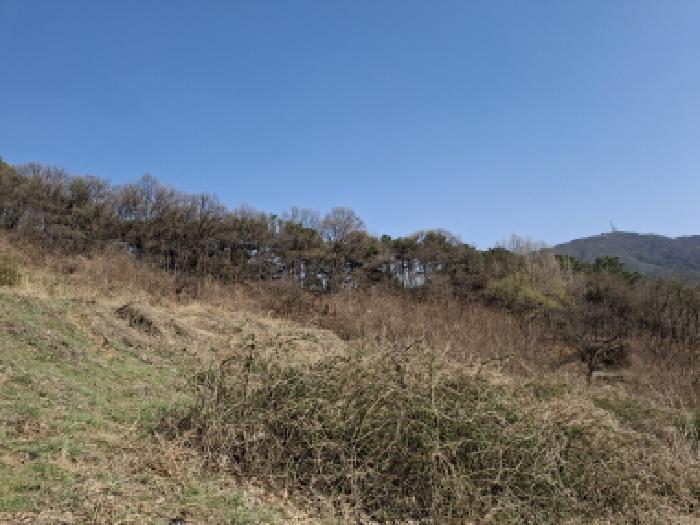 대전광역시 동구 판암동 230-10 외 19필지 상가주택 경매 사진 23
