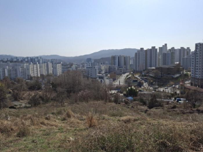 대전광역시 동구 판암동 230-10 외 19필지 상가주택 경매 사진 24