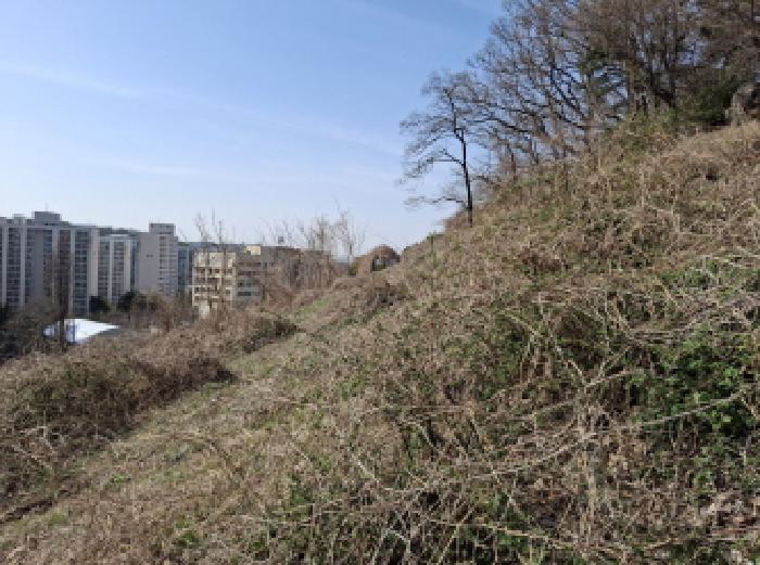 대전광역시 동구 판암동 230-10 외 19필지 상가주택 경매 사진 25