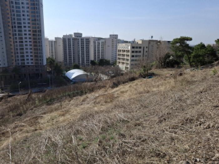 대전광역시 동구 판암동 230-10 외 19필지 상가주택 경매 사진 37