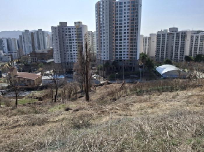 대전광역시 동구 판암동 230-10 외 19필지 상가주택 경매 사진 38