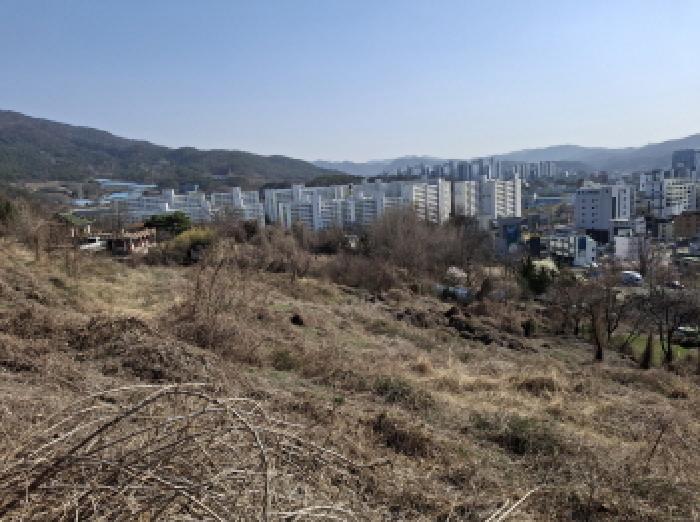 대전광역시 동구 판암동 230-10 외 19필지 상가주택 경매 사진 41
