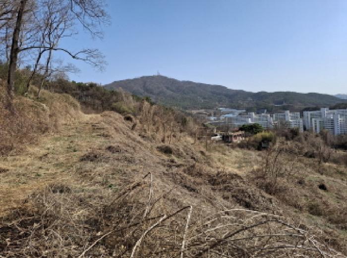 대전광역시 동구 판암동 230-10 외 19필지 상가주택 경매 사진 42