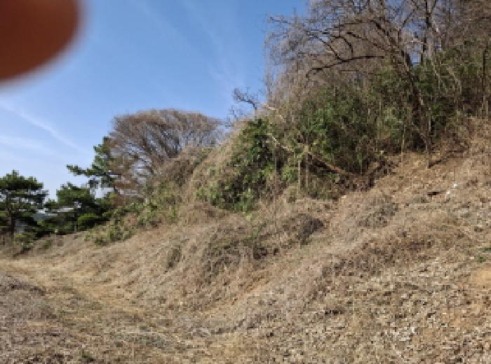 대전광역시 동구 판암동 230-10 외 19필지 상가주택 경매 사진 43