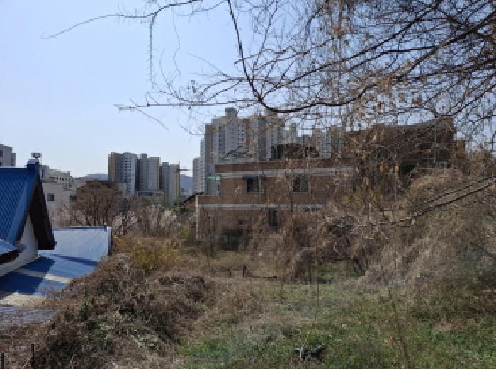 대전광역시 동구 판암동 230-10 외 19필지 상가주택 경매 사진 7