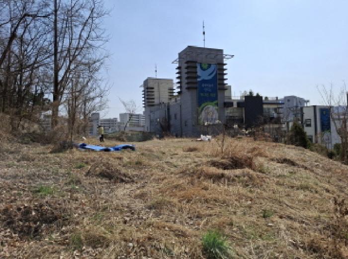 대전광역시 동구 판암동 230-10 외 19필지 상가주택 경매 사진 66