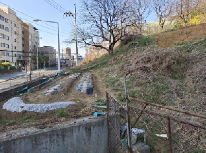 대전광역시 동구 판암동 230-10 외 19필지 상가주택 경매 사진 72