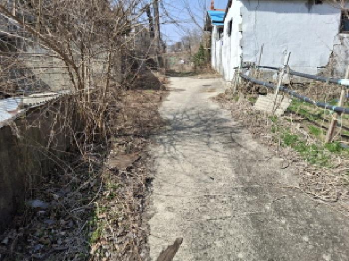 대전광역시 동구 판암동 230-10 외 19필지 상가주택 경매 사진 75