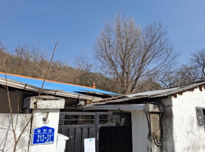 대전광역시 동구 판암동 230-10 외 19필지 상가주택 경매 사진 77