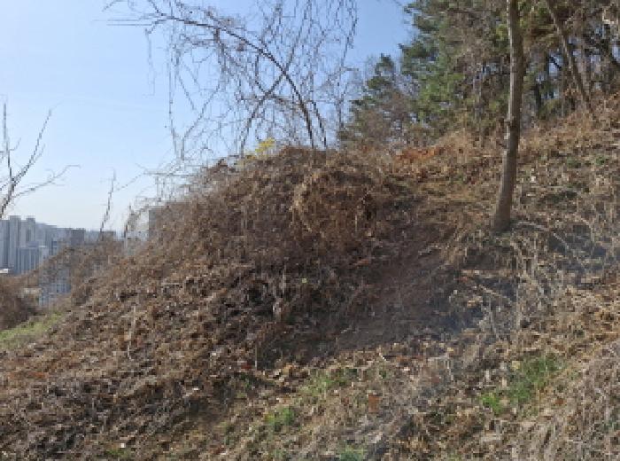 대전광역시 동구 판암동 230-10 외 19필지 상가주택 경매 사진 9