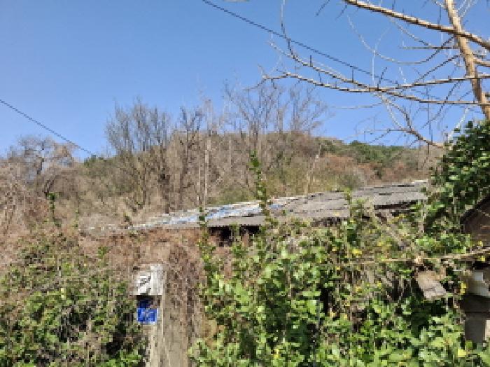 대전광역시 동구 판암동 230-10 외 19필지 상가주택 경매 사진 85