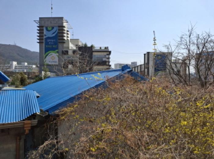 대전광역시 동구 판암동 230-10 외 19필지 상가주택 경매 사진 89