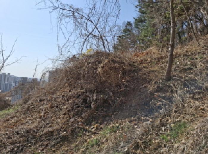 대전광역시 동구 판암동 230-10 외 19필지 상가주택 경매 사진 10
