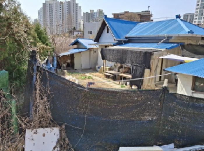 대전광역시 동구 판암동 230-10 외 19필지 상가주택 경매 사진 96