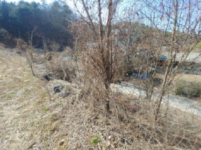 충청남도 금산군 남일면 신정리 614 전 경매 사진 3