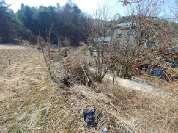 충청남도 금산군 남일면 신정리 614 전 경매 사진 4
