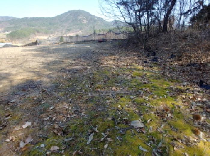 충청남도 금산군 남일면 신정리 614 전 경매 사진 6