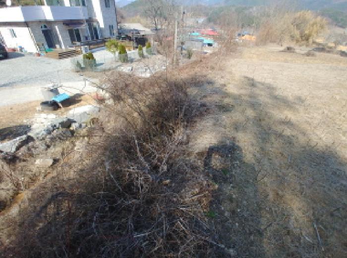 충청남도 금산군 남일면 신정리 614 전 경매 사진 9