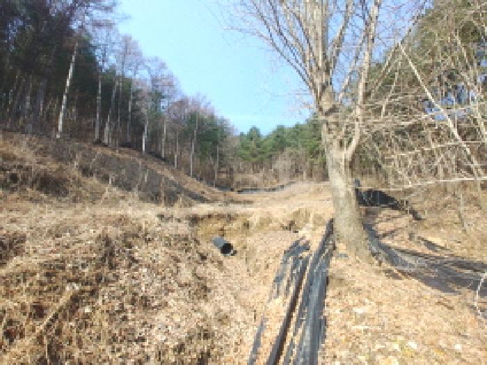 충청남도 금산군 진산면 묵산리 산77-1 임야 경매 사진 29