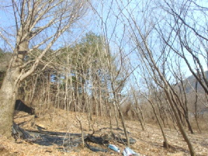충청남도 금산군 진산면 묵산리 산77-1 임야 경매 사진 31